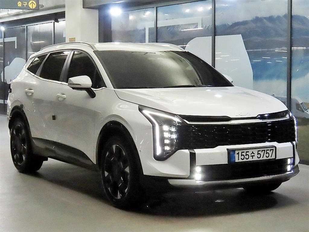 1.6 터보HEV 2WD 시그니처 2025년식