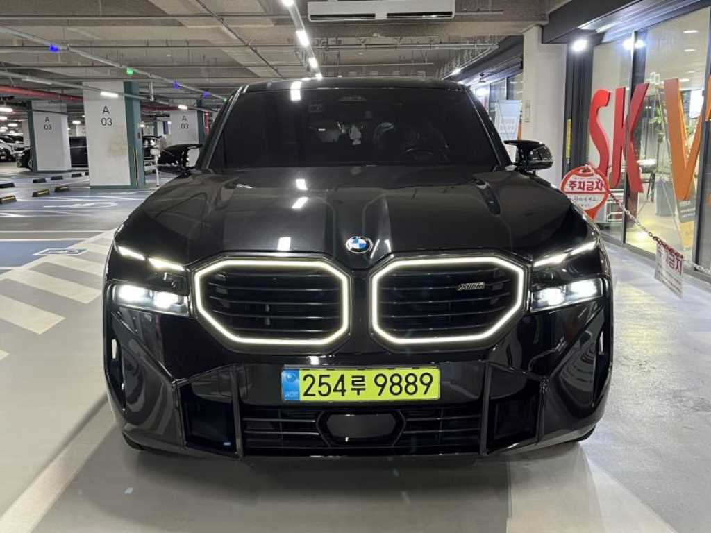 BMW XM 4.4 사진 2/20