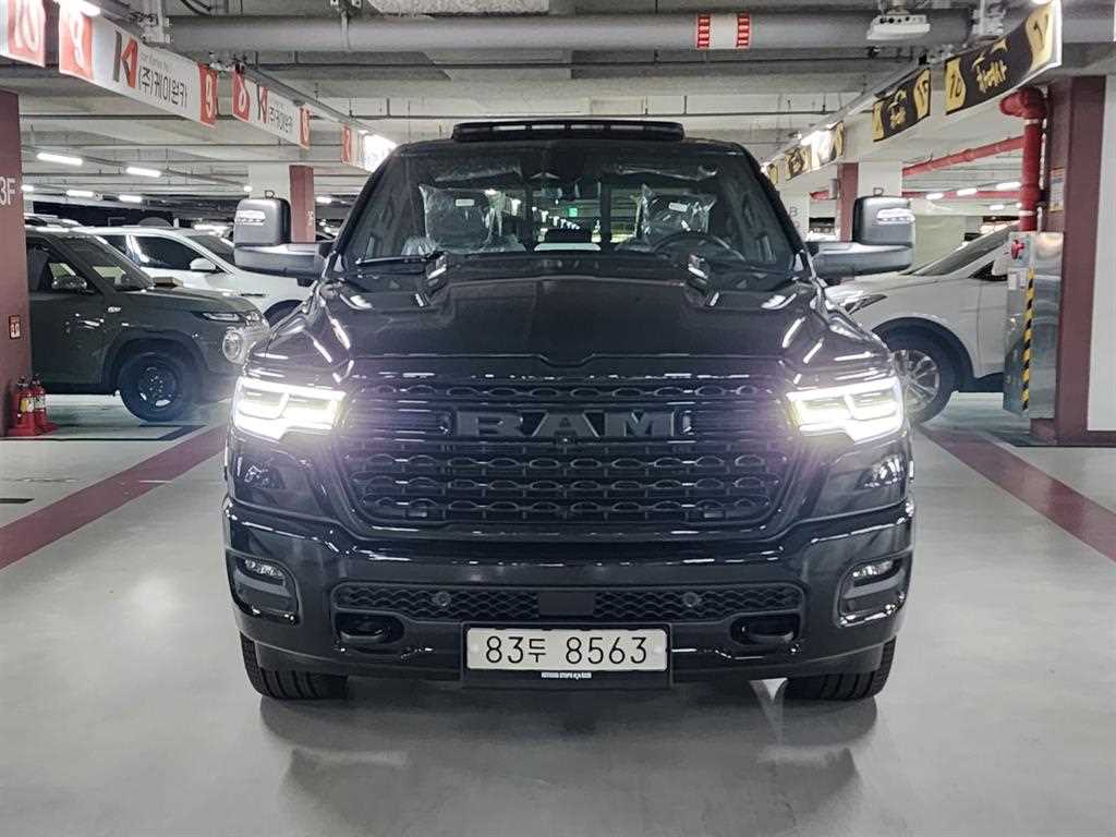 다찌 램픽업 3.0 RHO 사진 2/20