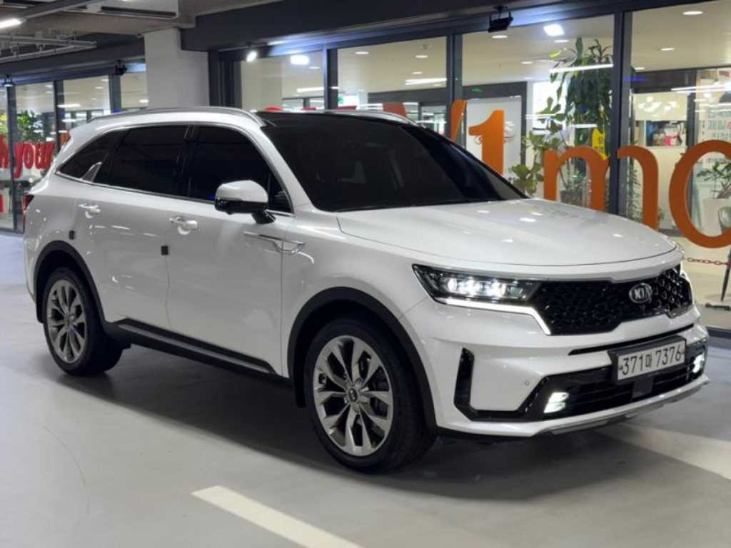 기아 쏘렌토 디젤 2.2 2WD 노블레스 사진 2/20