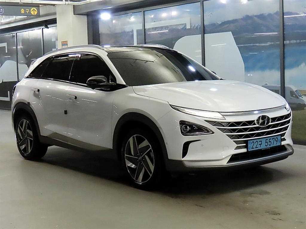 넥쏘 프리미엄 2022년식