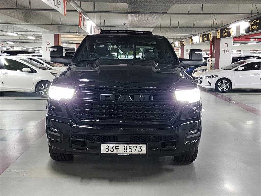 다찌 램픽업 3.0 RHO 사진 2/20