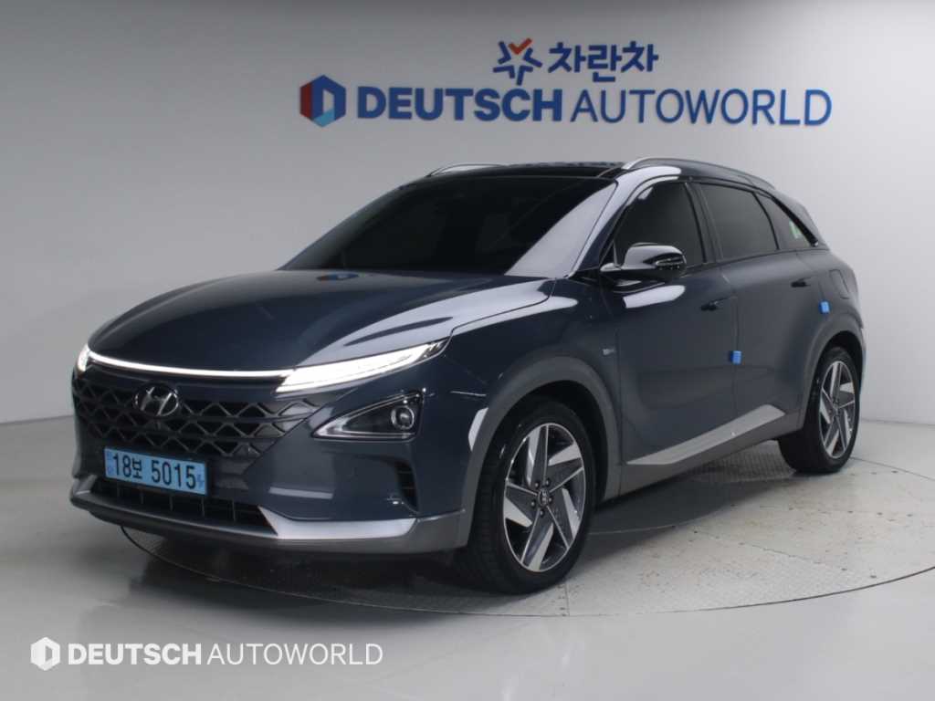 현대 넥쏘 프리미엄 사진