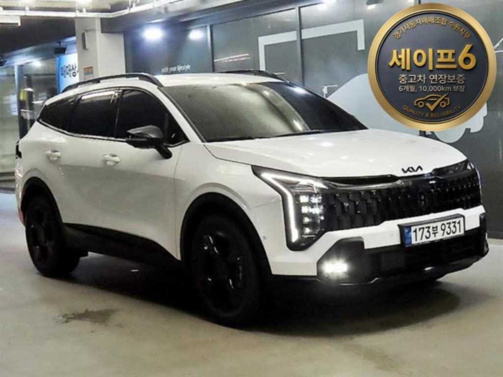 1.6 터보HEV 2WD 시그니처 X-라인 2025년식