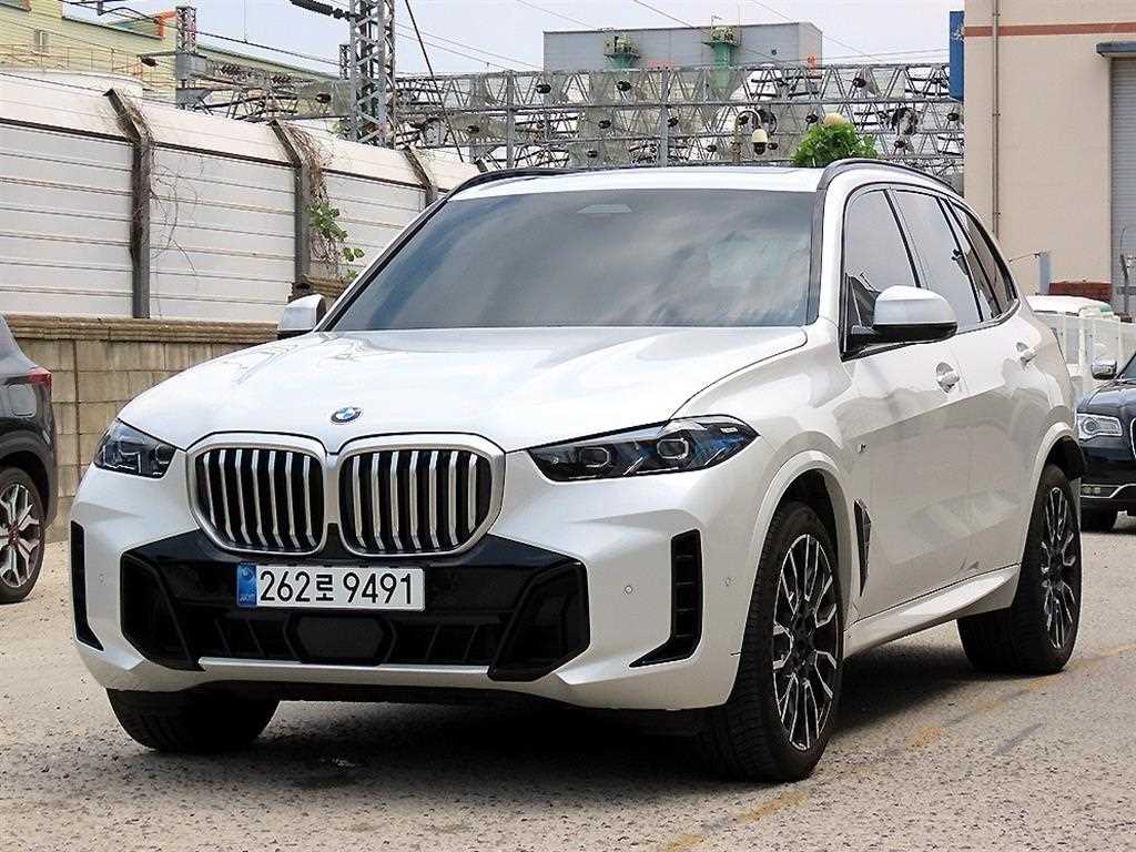 BMW X5 xDrive 30d M 스포츠 사진 2/20