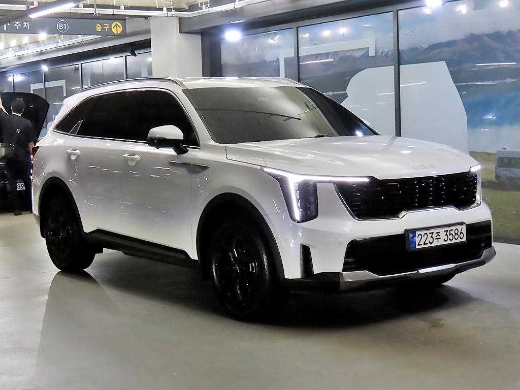 1.6T 2WD 노블레스 2024년식