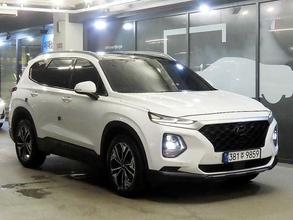 싼타페 TM 디젤 2.2 2WD 익스클루시브 2019년식
