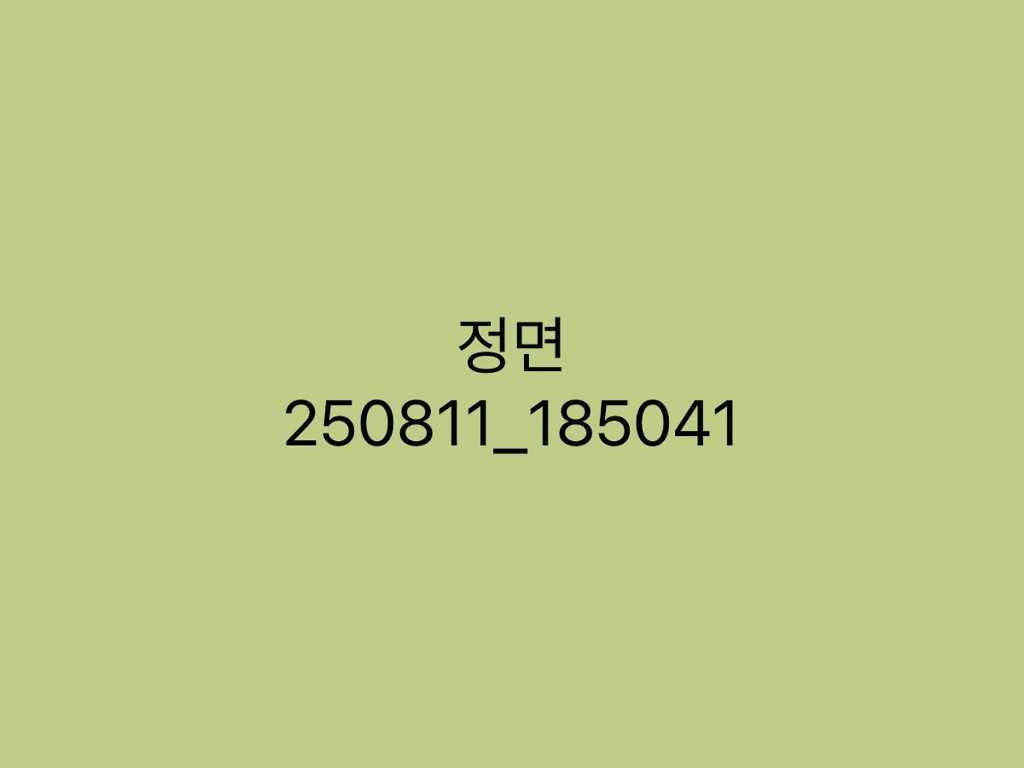 르반떼 3.0 디젤 AWD 프리미엄 2017년식
