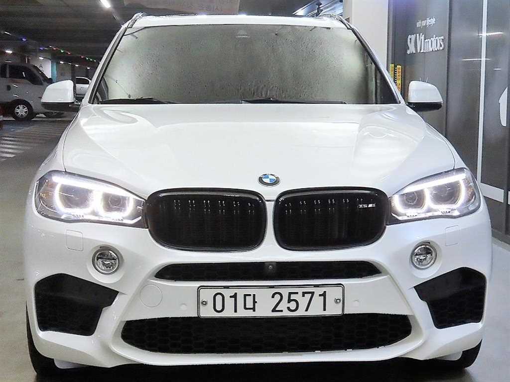 BMW X5 xDrive 30d M 스포츠 사진 2/20