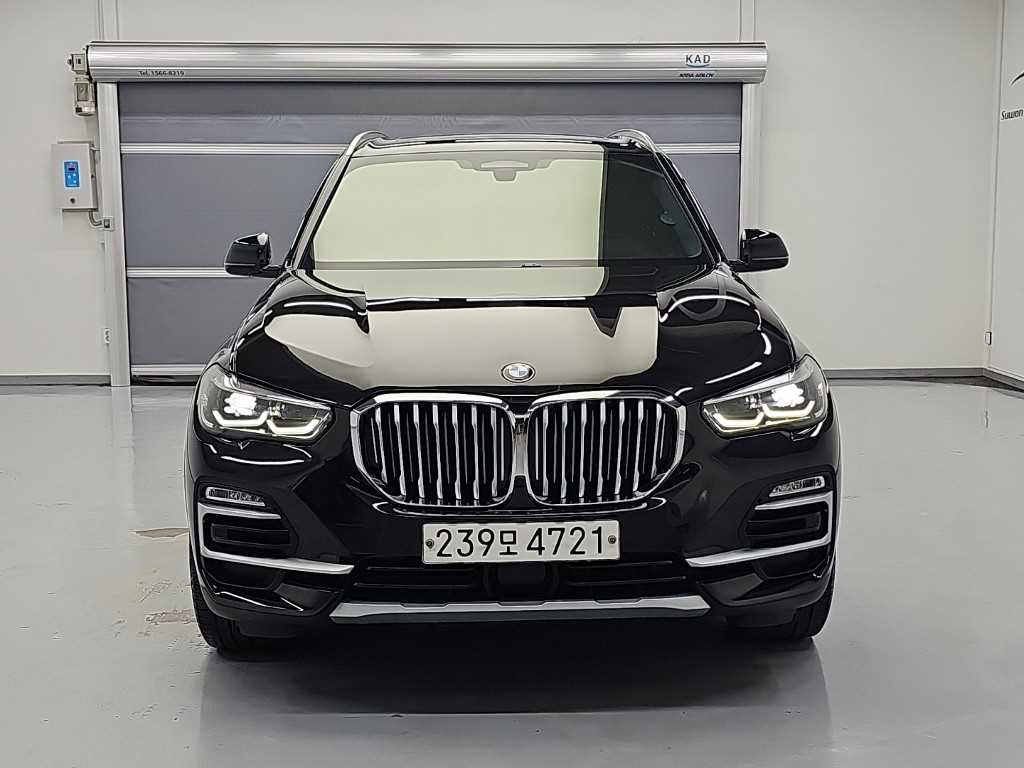 BMW X5 xDrive 30d xLine 사진 2/19