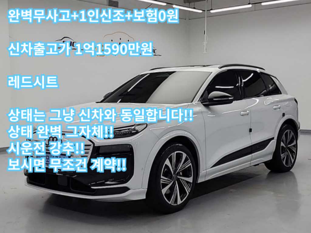 아우디 SQ6 콰트로 사진
