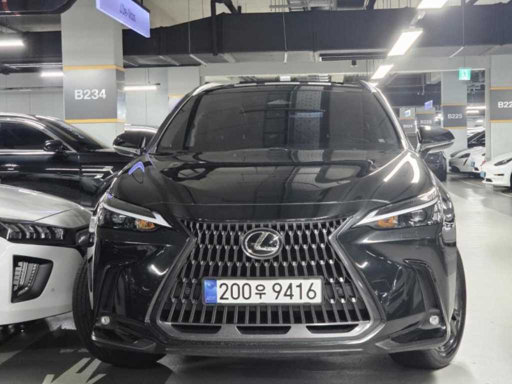 렉서스 NX 프리미엄 사진 2/20