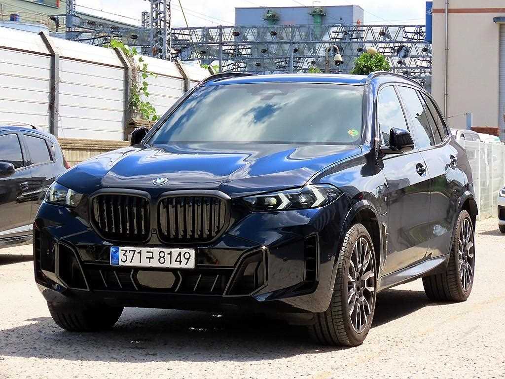 BMW X5 xDrive 50e M 스포츠 사진 2/20