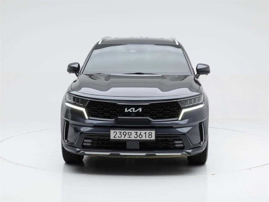 기아 쏘렌토 디젤 2.2 4WD 시그니처 사진 2/20