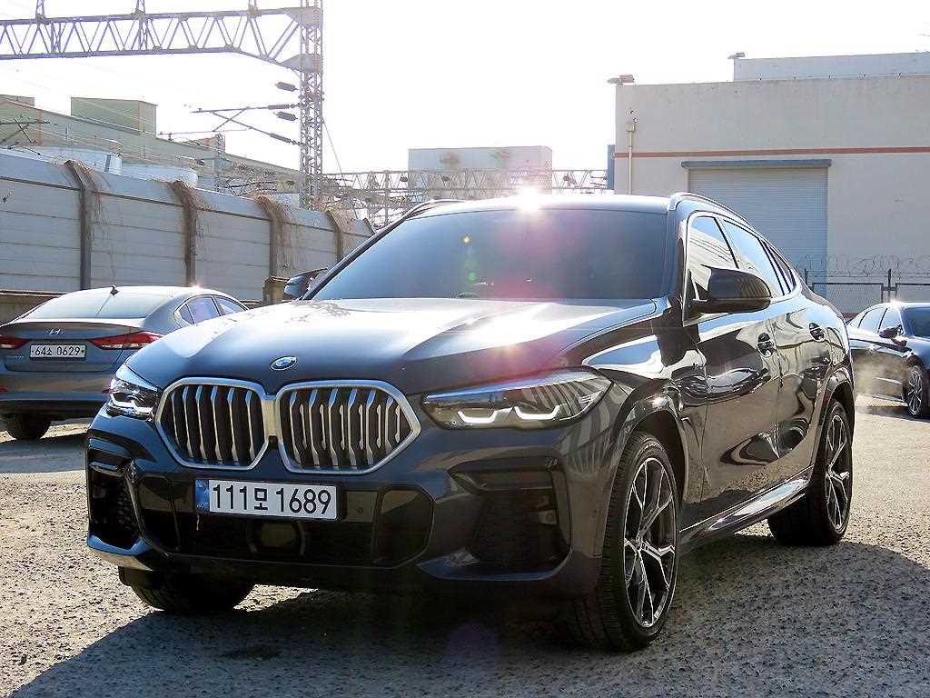 BMW X6 xDrive 30d M 스포츠 사진 2/20