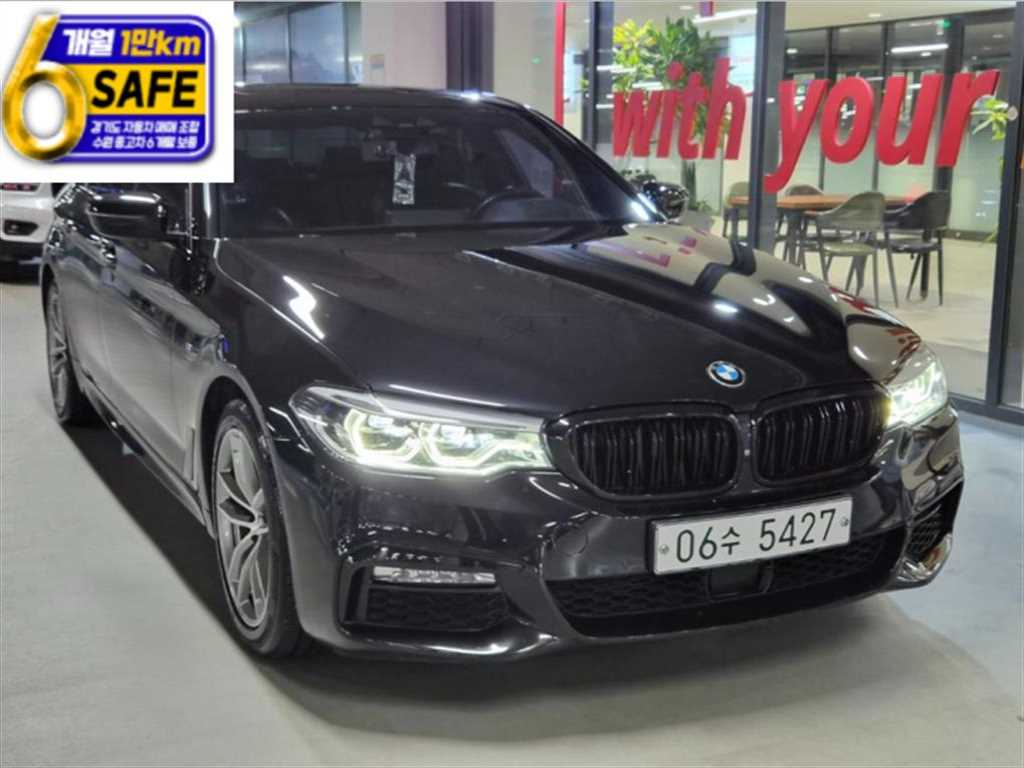5시리즈 (G30) 520d M 스포츠 플러스 2017년식
