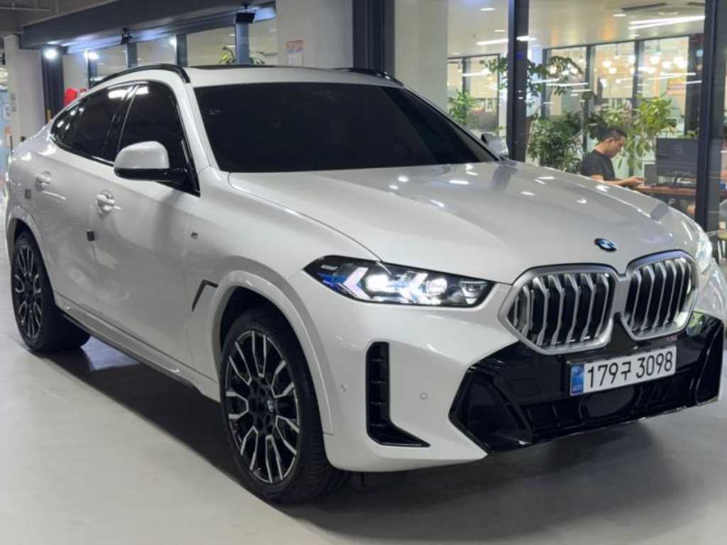 BMW X6 xDrive 30d M 스포츠 사진 2/20