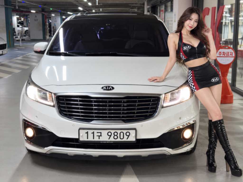 올 뉴 카니발 디젤 9인승 노블레스 2016년식