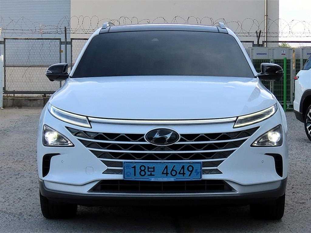 현대 넥쏘 프리미엄 사진