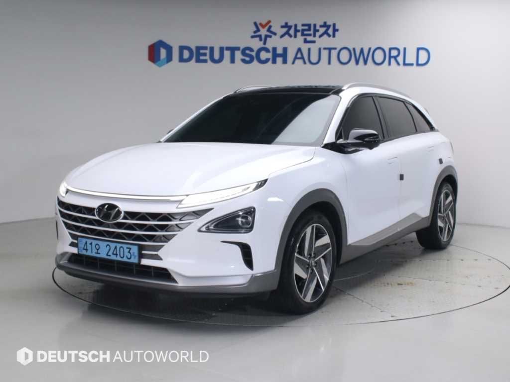 현대 넥쏘 프리미엄 사진