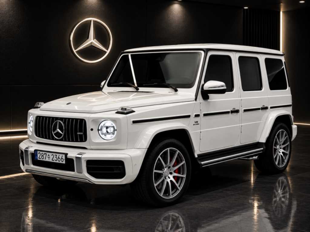 벤츠 G 클래스(G 바겐) AMG G63 사진
