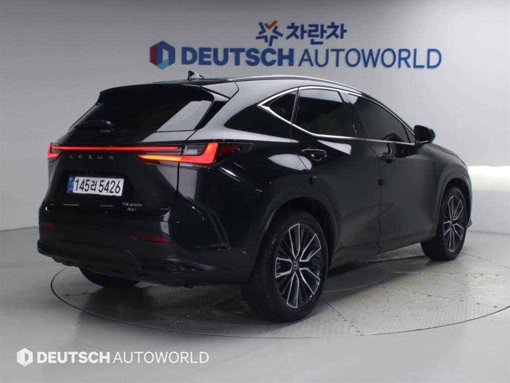 렉서스 NX 력셔리 사진 2/20