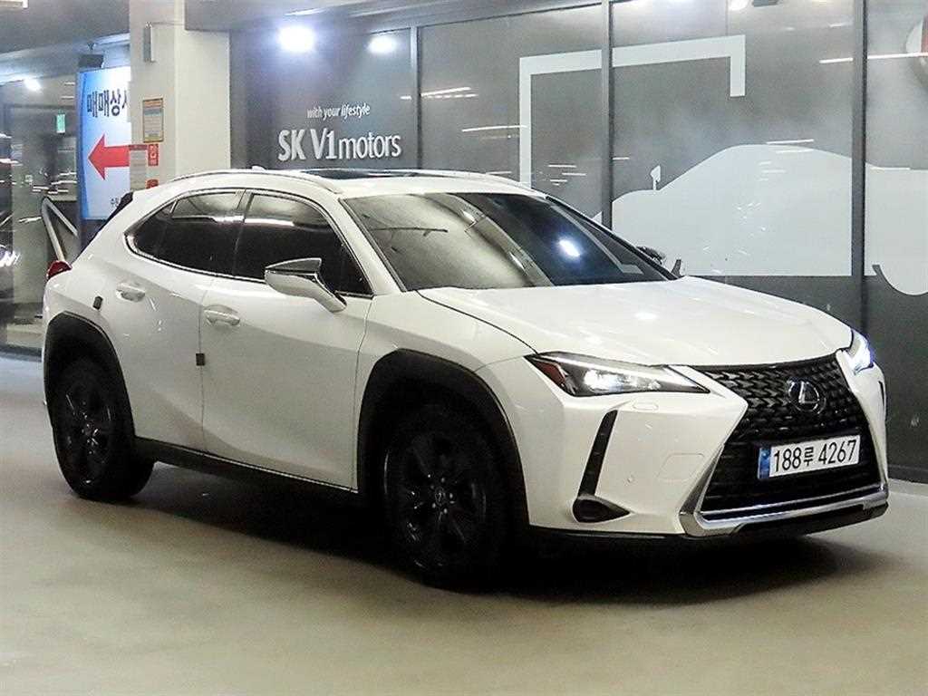 렉서스 UX 2.0 2WD 사진