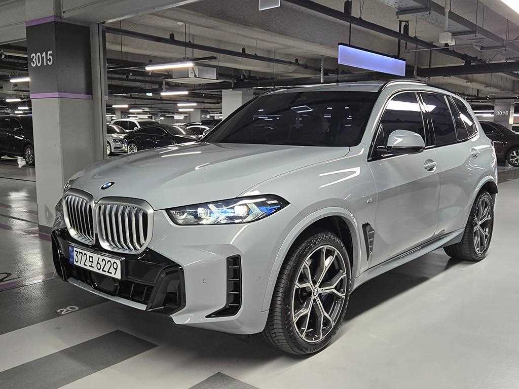 BMW X5 xDrive 30d M 스포츠 사진 2/20