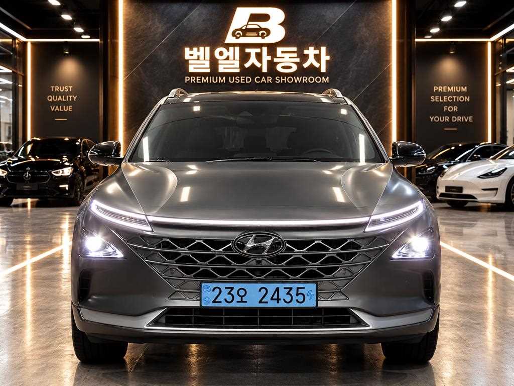 현대 넥쏘 프리미엄 사진