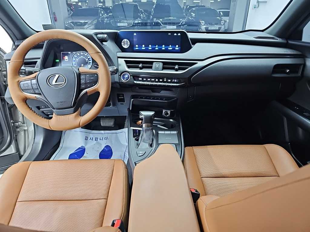 렉서스 UX 2.0 2WD 사진