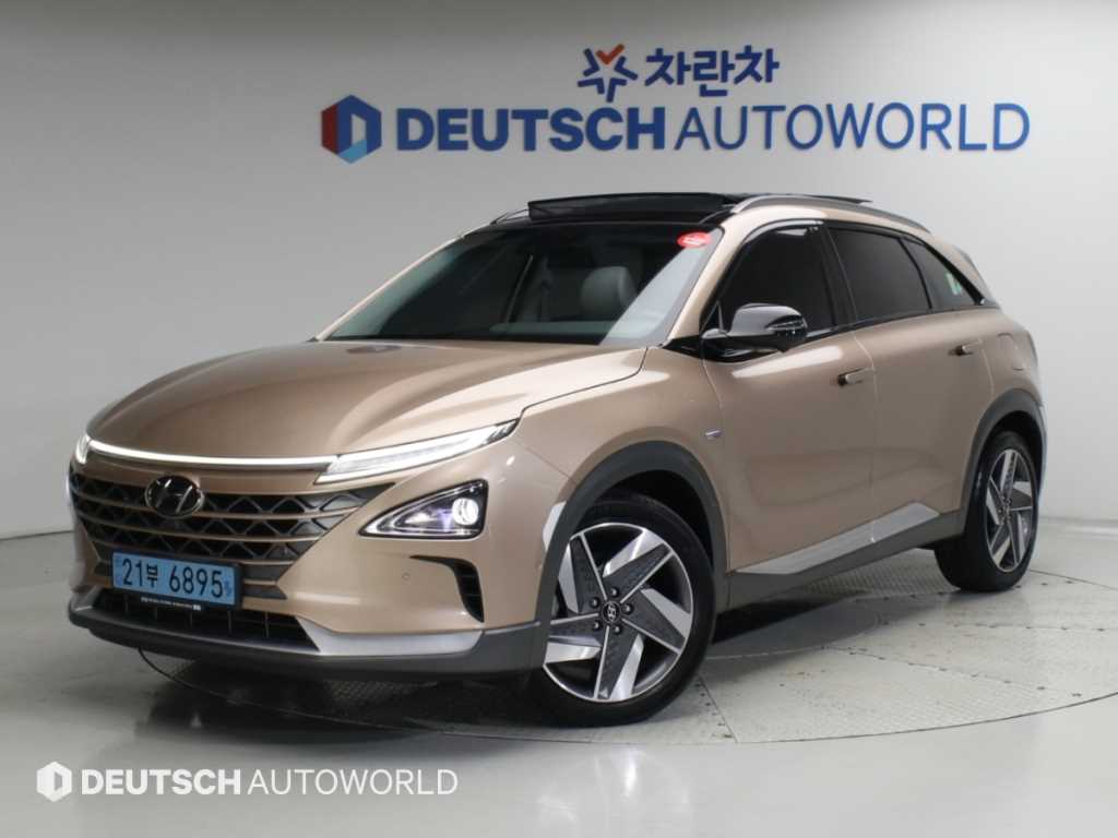 현대 넥쏘 프리미엄 사진