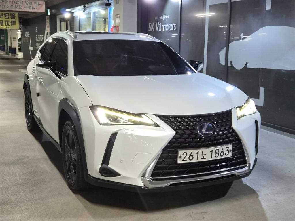 렉서스 UX 2.0 2WD 사진