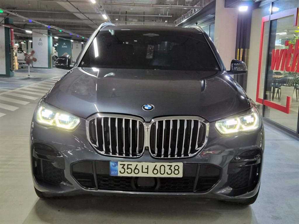 BMW X5 xDrive 30d M 스포츠 사진 2/20