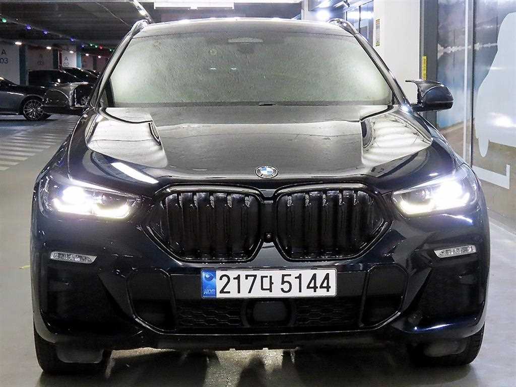 BMW X6 xDrive 30d M 스포츠 사진 2/19