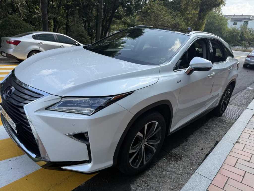 렉서스 RX 이그제큐티브 사진