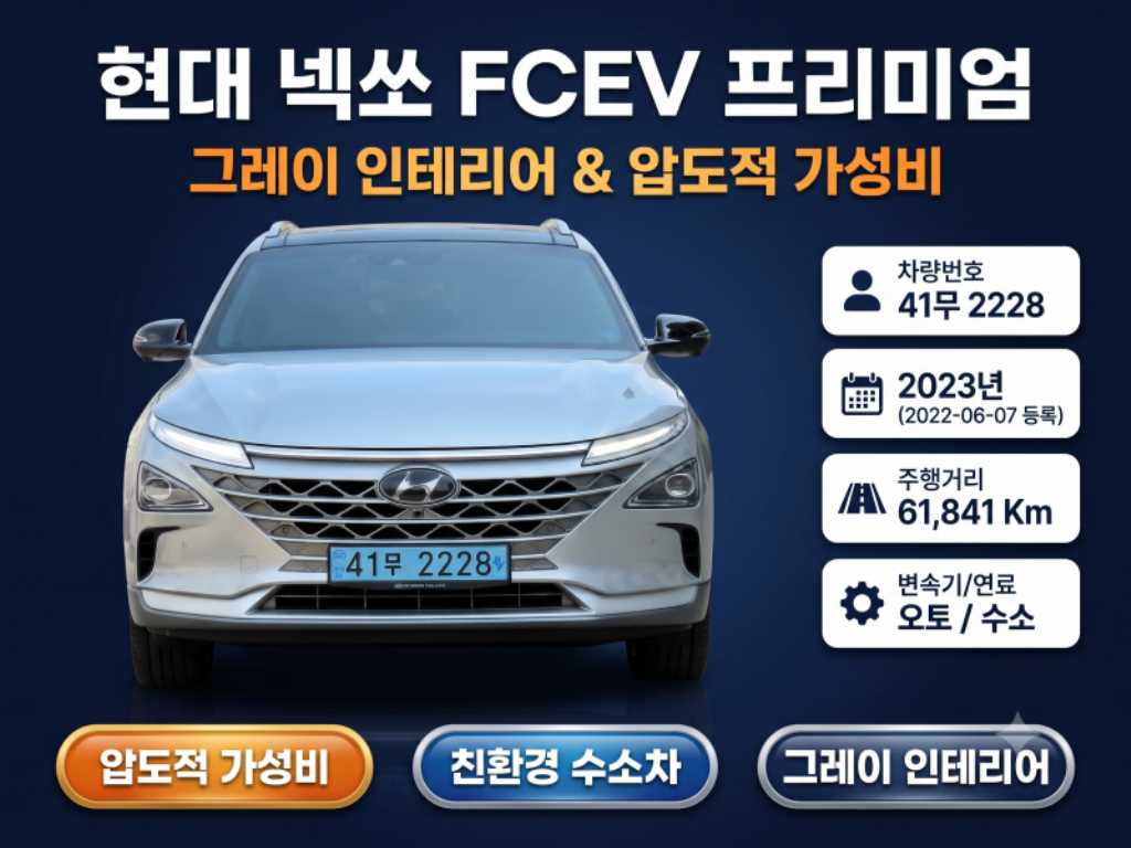 현대 넥쏘 프리미엄 사진