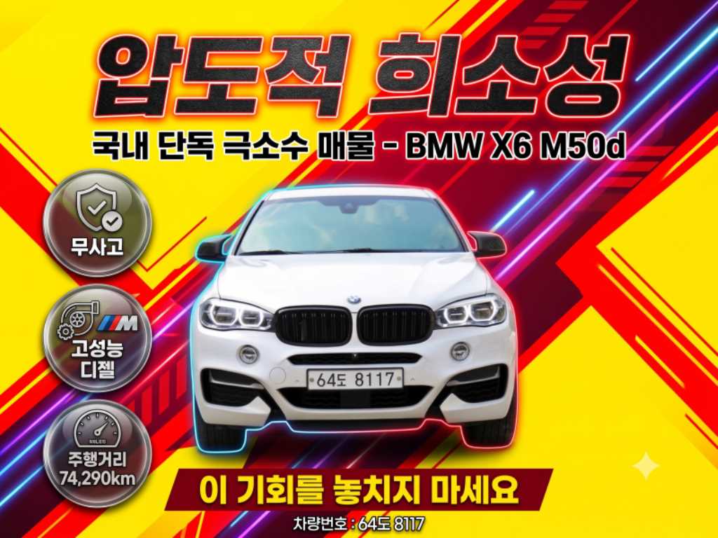 BMW X6 M50 D 사진