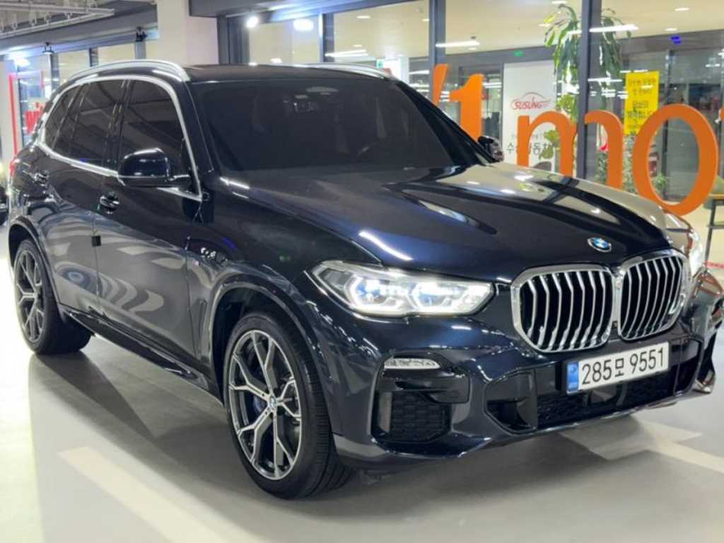 BMW X5 xDrive 40d M 스포츠 사진 2/20