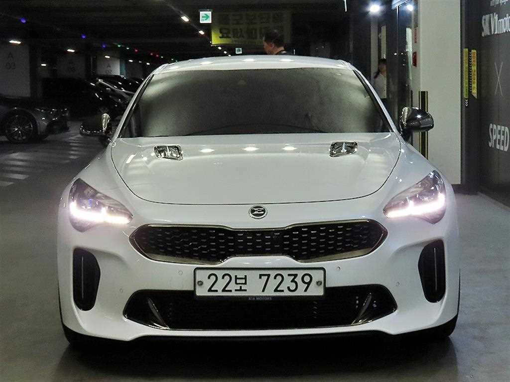 기아 스팅어 가솔린 2.0 터보 AWD 플래티넘 사진 2/20