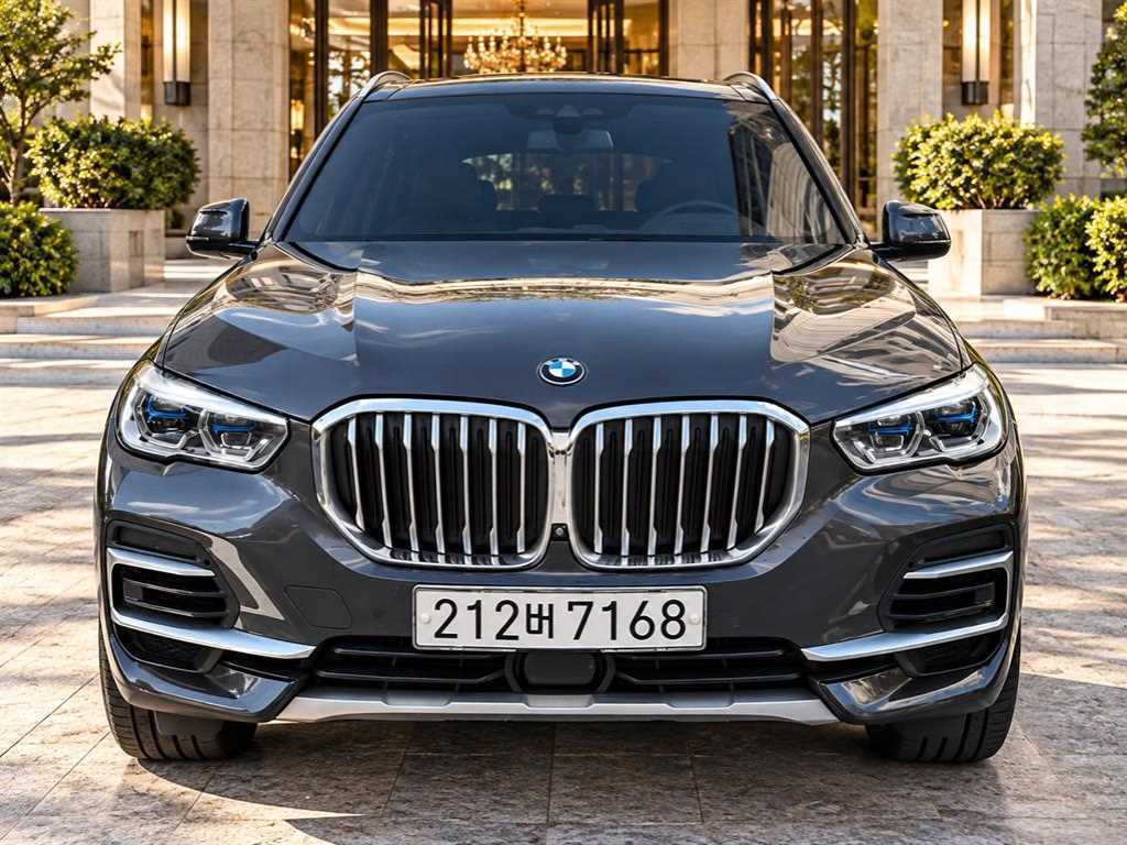 BMW X5 xDrive 45e xLine 사진