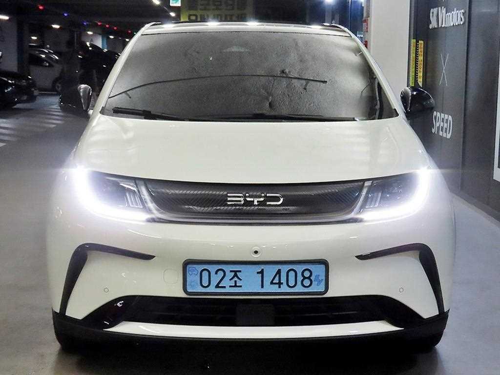 BYD 돌핀 베이스 사진 2/19