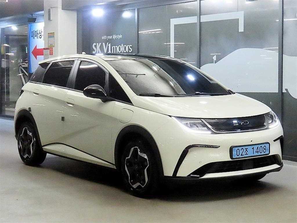 BYD 돌핀 베이스 사진
