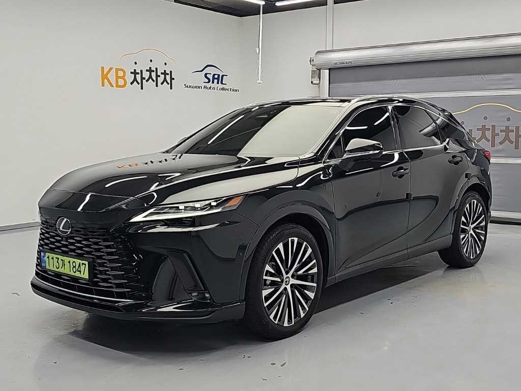 렉서스 RX 럭셔리 사진 2/19