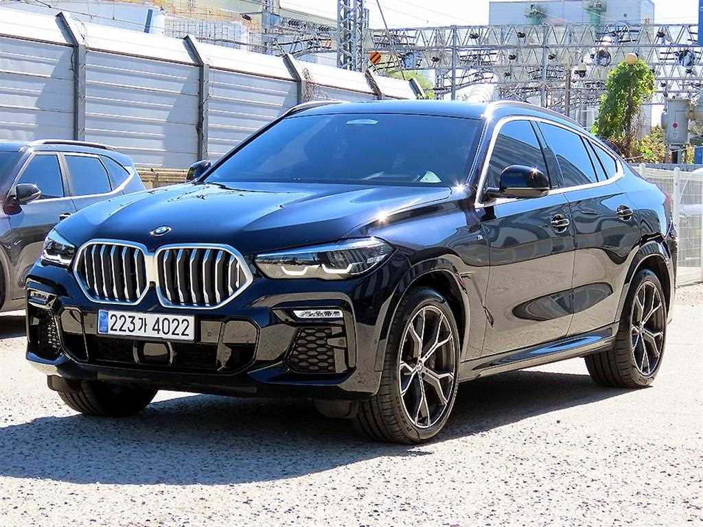 BMW X6 xDrive 30d M 스포츠 사진 2/20