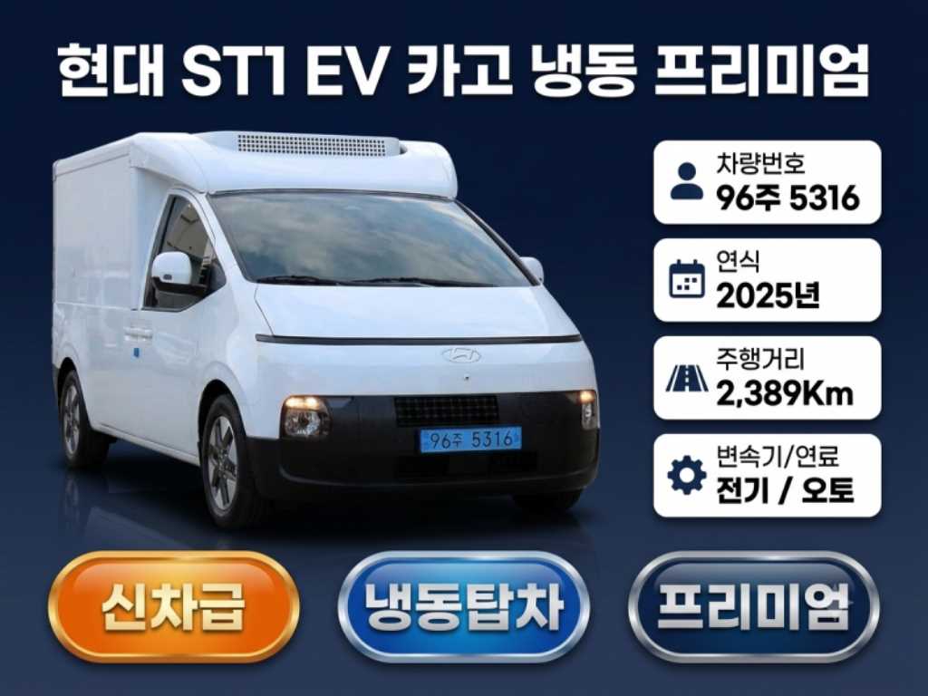 현대 ST1 카고 냉동 사진