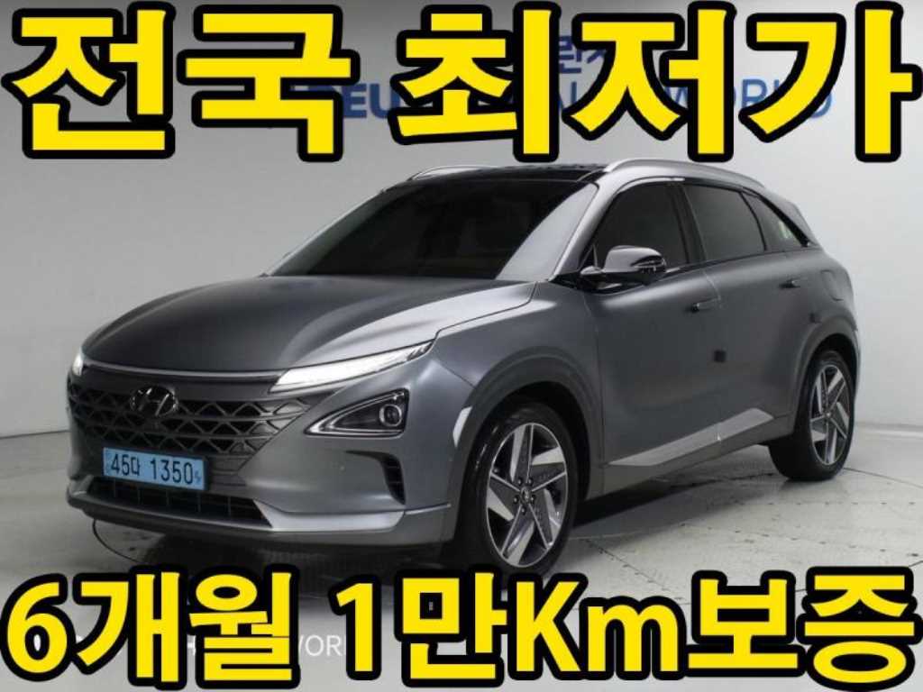 현대 넥쏘 프리미엄 사진