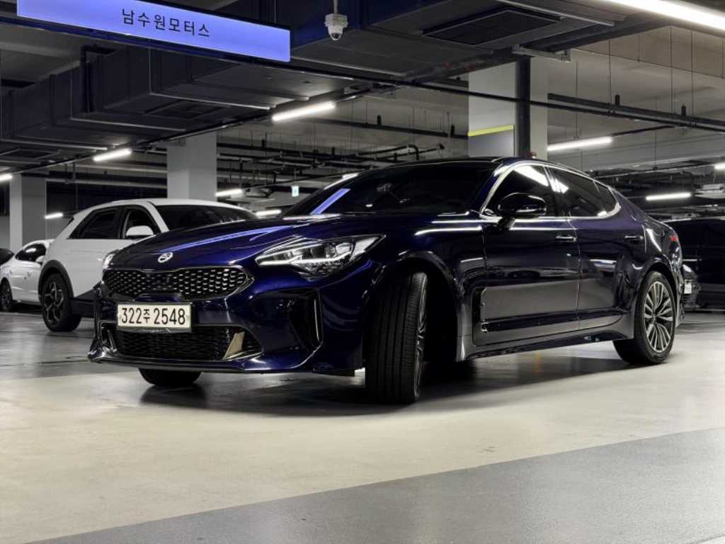 기아 스팅어 가솔린 2.0 터보 2WD 플래티넘 사진