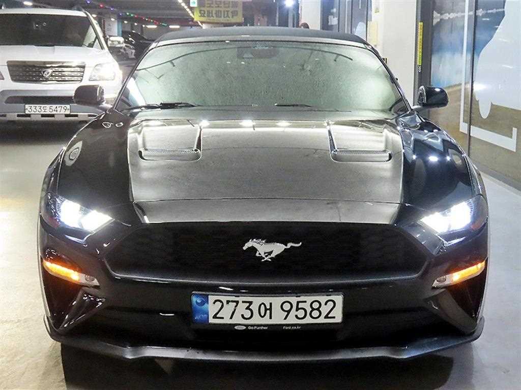 포드 머스탱 컨버터블 사진 2/20