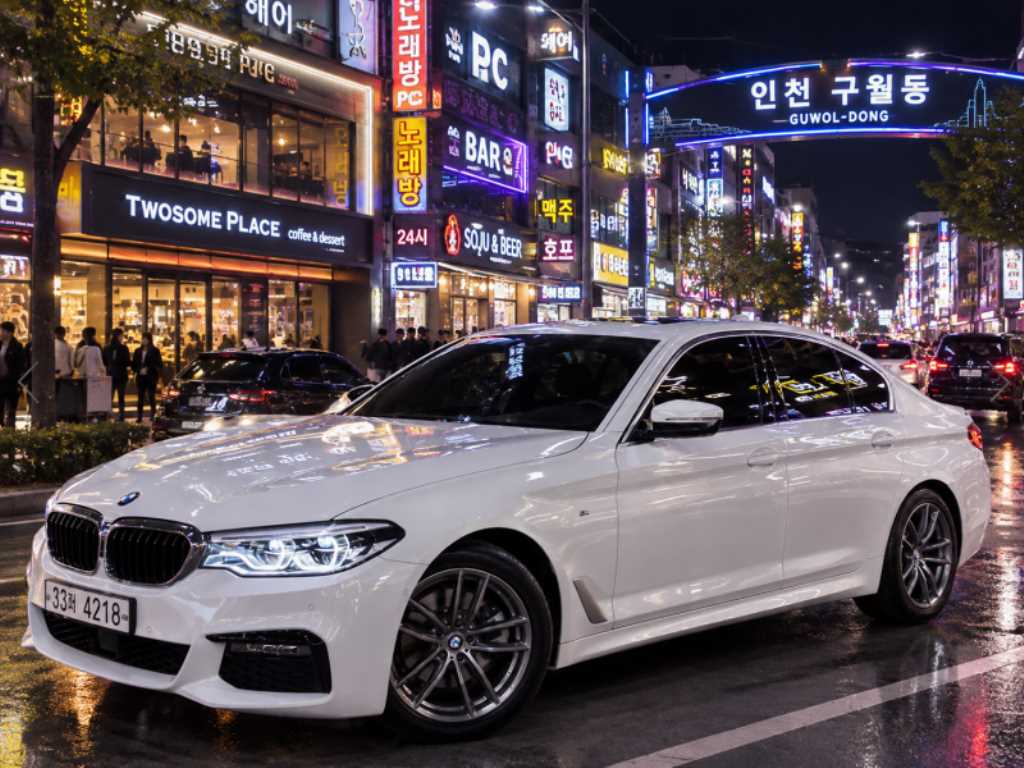 BMW 5시리즈 520d M 스포츠 플러스 사진