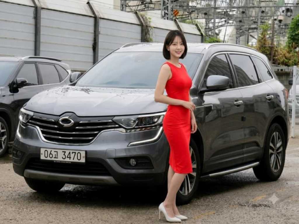 르노코리아 QM6 디젤 2WD LE 사진